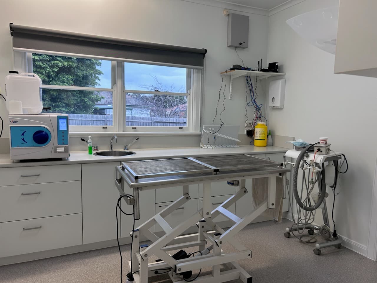 Dedicated veterinary dental treatment room and equipment at East West Vets Glen Waverley
