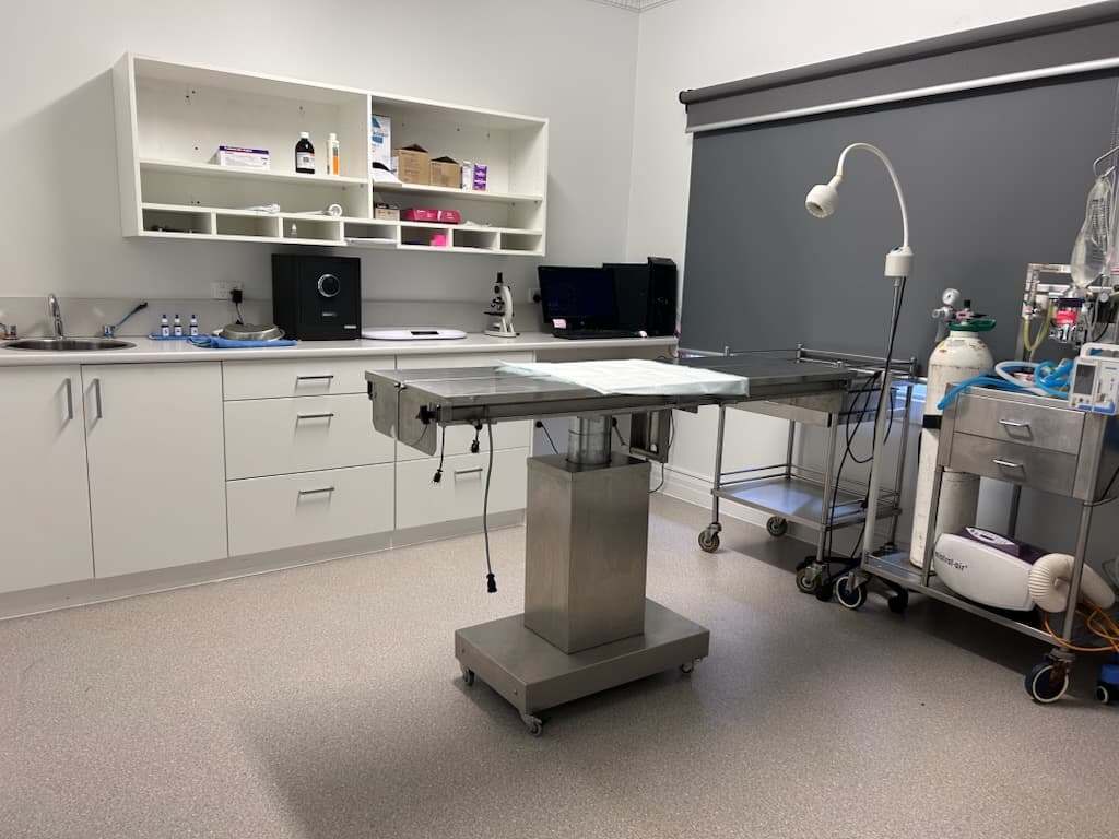 Veterinary procedure theatre at East West Vets Glen Waverley