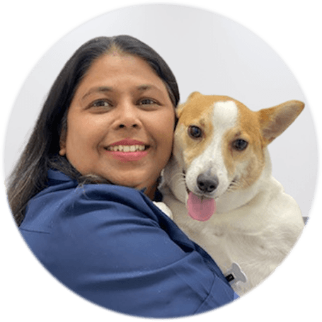 Dr. Ayesha at East West Vets Glen Waverley